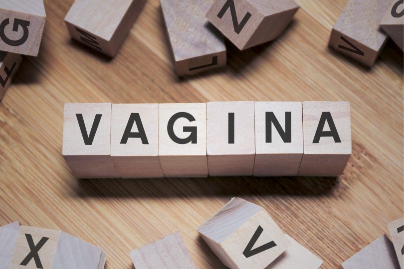 Vagina Vagina Vagina